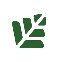 Pando